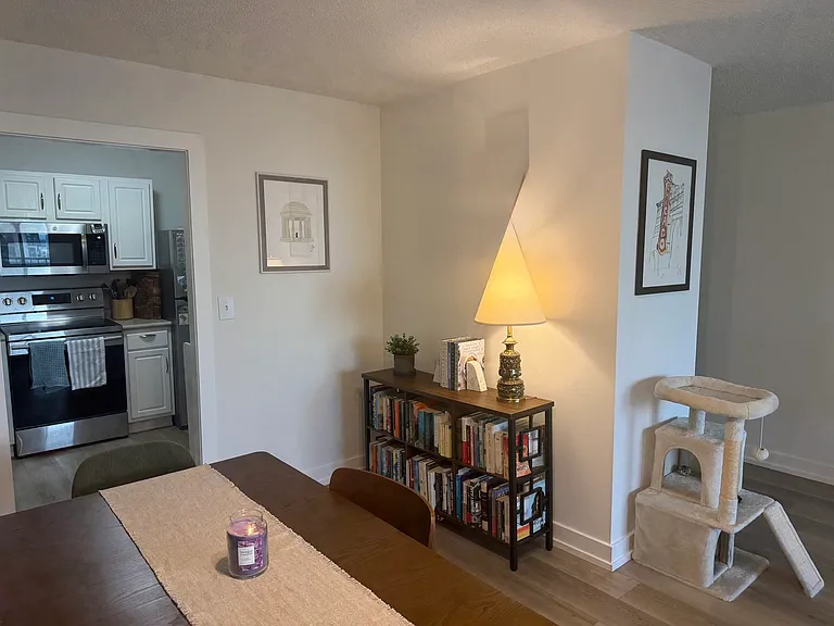 10 E Ontario St #5007 — Photo 19
