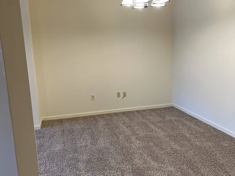 439 Hopkins Landing Dr — Photo 18