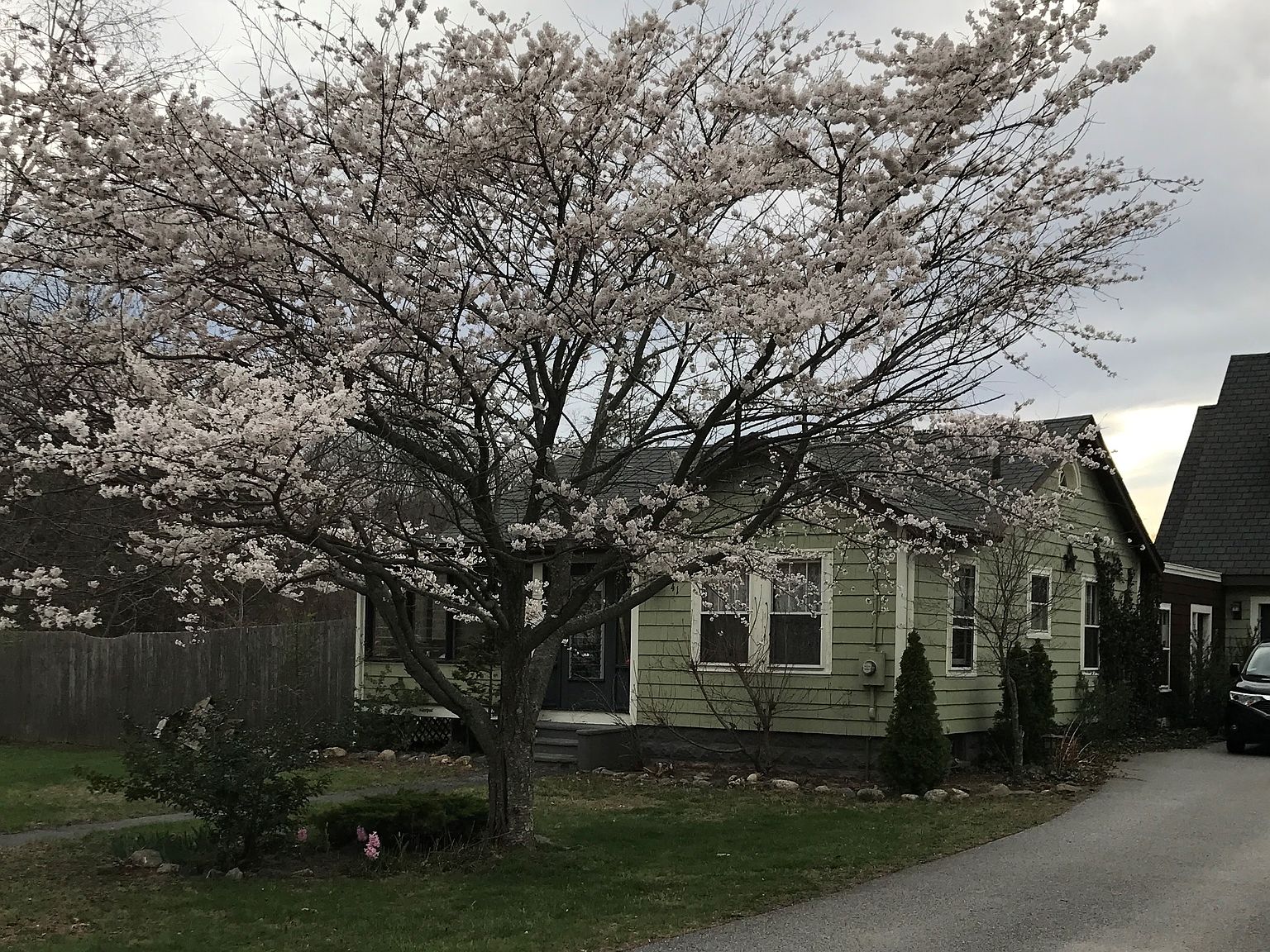 41 Spring Grove Ave, Warwick, RI 02889 Zillow