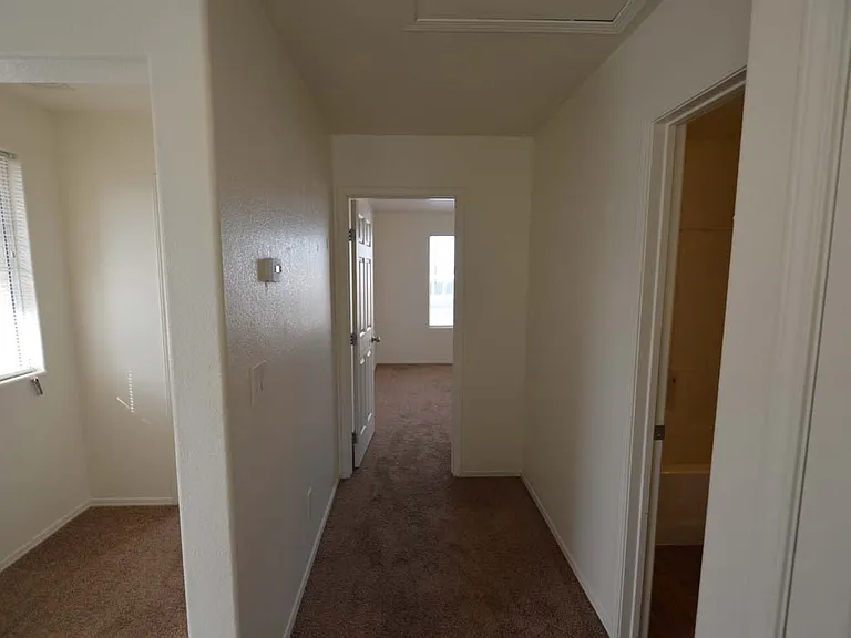 6670 Tulip Falls Dr — Photo 23