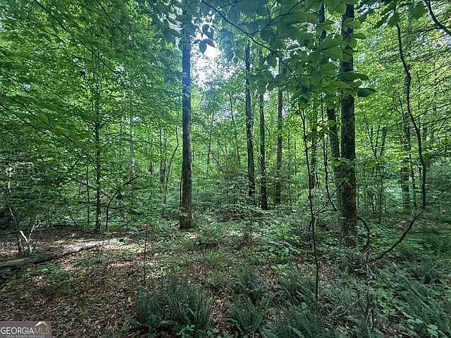 2nd image of 389 Fox Trot Rd Tract B