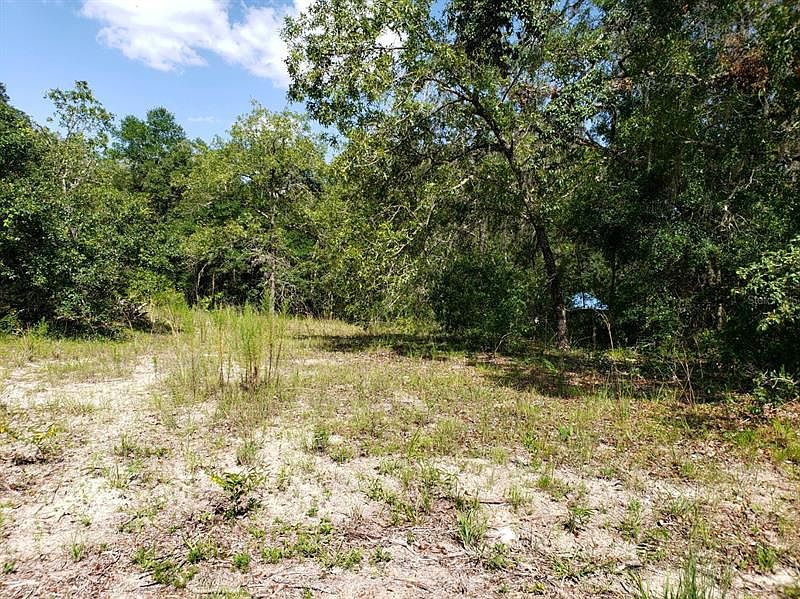 6394 Biltmore Ave ster FL Zillow