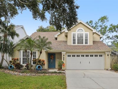 14534 Nettle Creek Rd, Tampa, FL, 33624