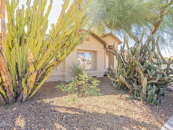 3rd image of 709 E Wildhorse Drive