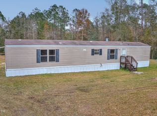 2273 Arrowroot Ave, Middleburg, FL 32068