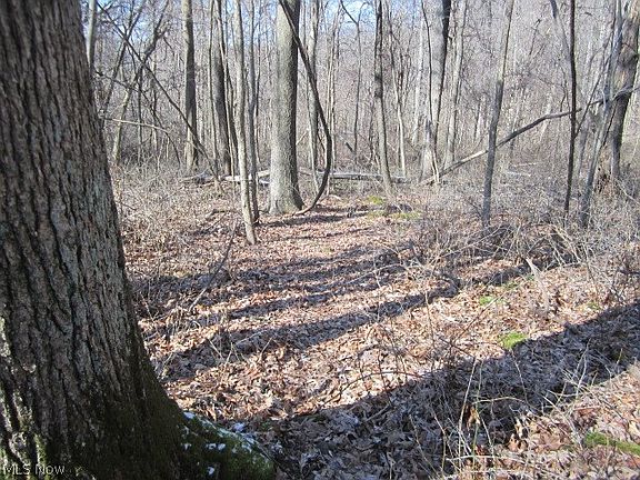 5th image of 346 Township Rd