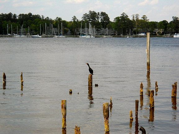 3rd image of 000 Mccotters Marina Road