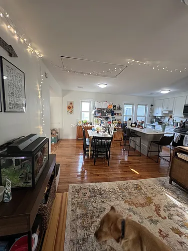 45 Raymond Ave #1 Photo 1