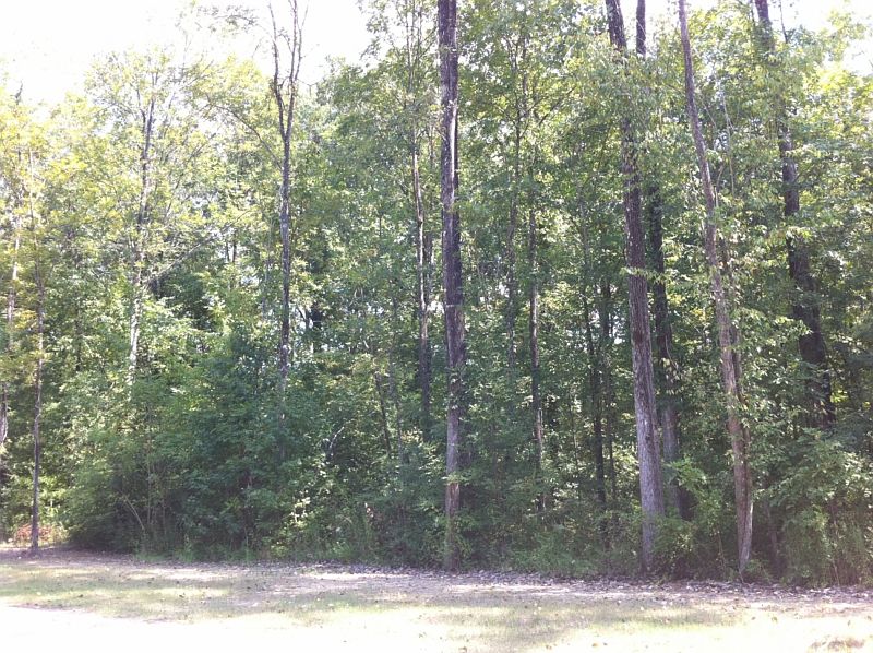 1st image of Lot 6 Greystone
