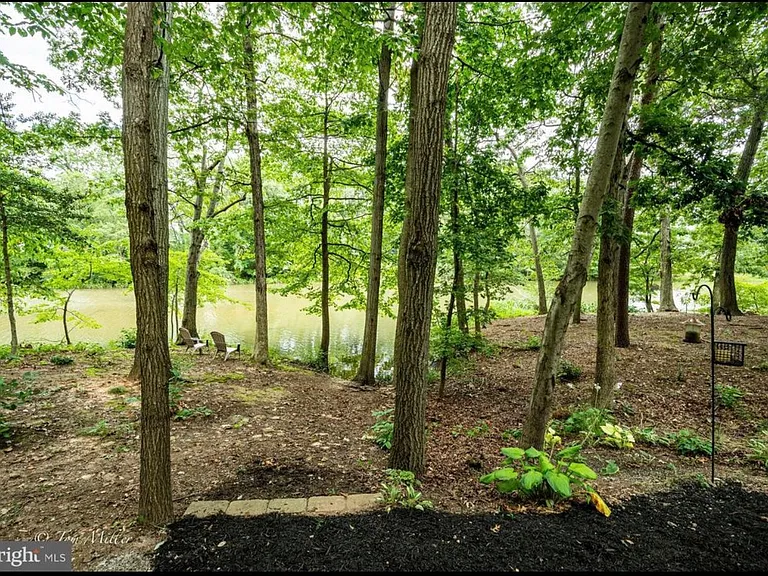 Nature in your back yard