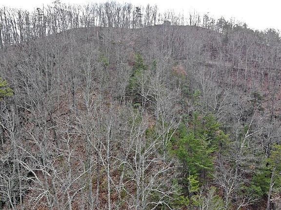 5th image of LOT 34 Mountain Dr