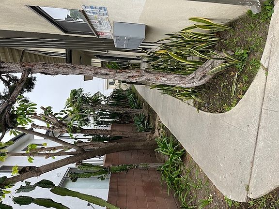 3rd image of 1958 S Shenandoah St #6