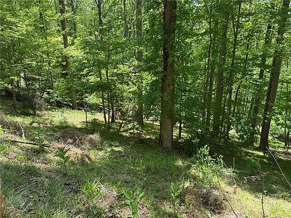 5th image of Lot 21 Happy Berry Drive