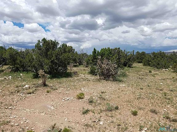 3rd image of Camino De Silvestre
