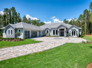 15638 Pendio Dr, Montverde, FL 34756