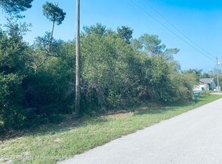 1083 Stratton Ave, Spring Hill, FL 34609