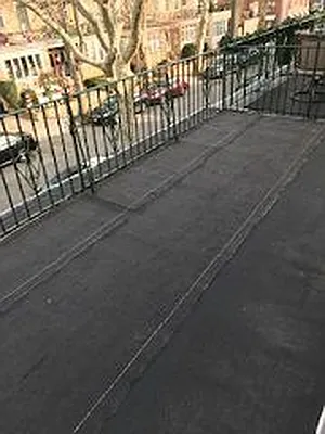 Rented by Lev Gililov Real Estate Inc | media 5