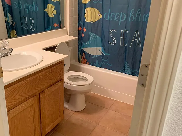 513 Saddleback Cir — Photo 16