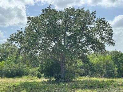 000 County Road 104, Normanna, TX, 78142