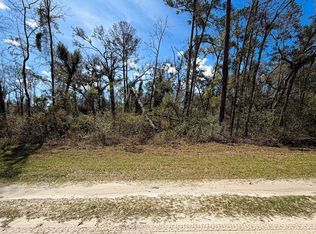 NE Laurie Ln Lot 53, Mayo, FL 32066