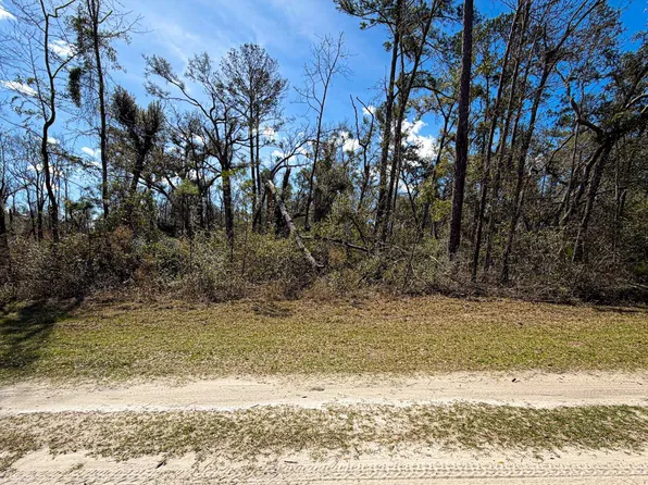 NE Laurie Ln Lot 53, Mayo, FL 32066