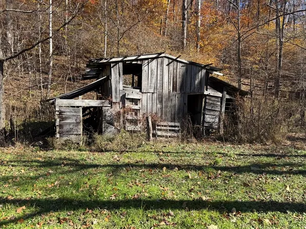 815 White Oak Creek Rd, Artie, WV 25008