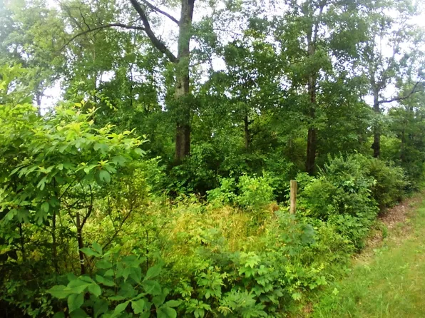 6 Smelcer Rd, Mohawk, TN 37810