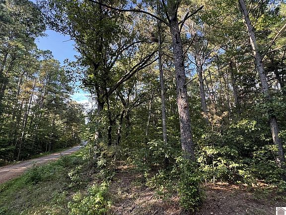 4th image of Lots 135 & 136 Mallard Rd