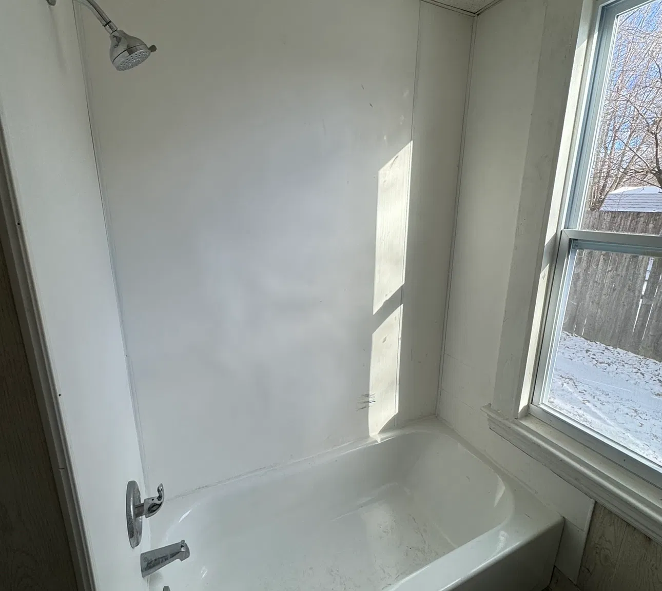 1 bed, 800 sqft, $850 — Photo 2