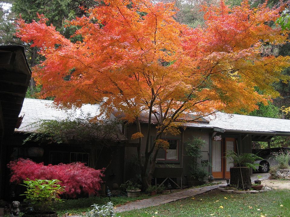 15617 Old Downieville Hwy, Nevada City, CA 95959 Zillow