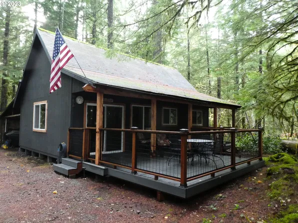 Cabin 61 Northwoods, Cougar, WA 98616