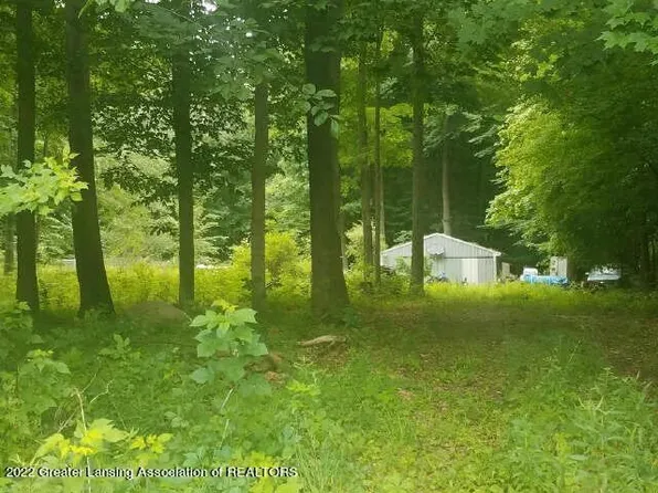 7313 W Mount Hope Hwy, Mulliken, MI 48861