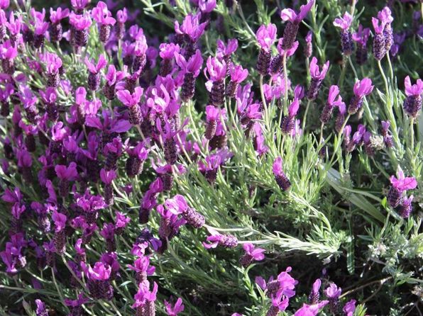 35109 Highway 79 SPACE 282