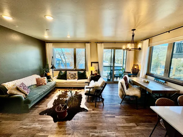 320 Fox Springs Cir #201, Steamboat Springs, CO 80487