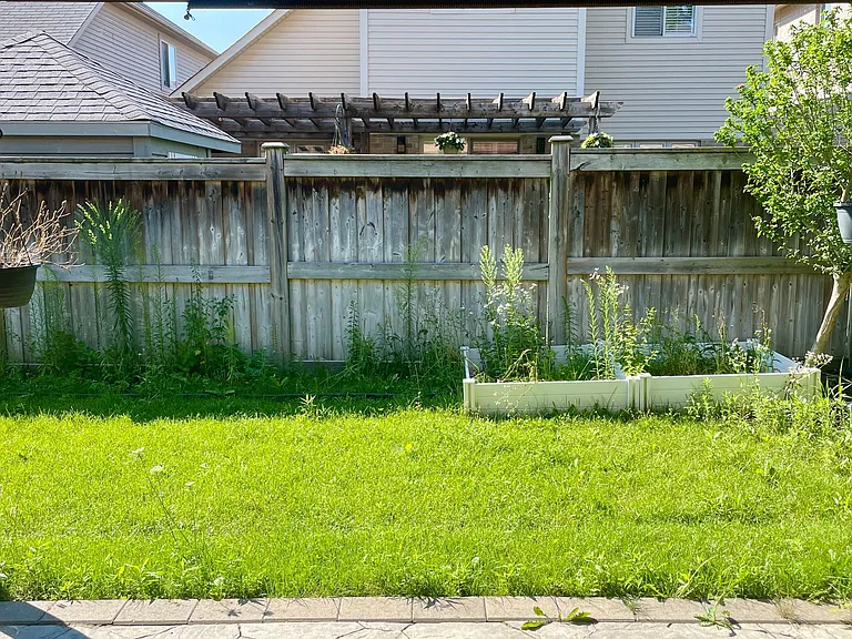 2 Doon Creek St — Photo 42
