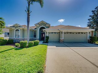 13712 Trinity Leaf Pl, Riverview, FL 33579