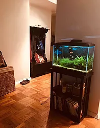 Rented by E Realty International Corp