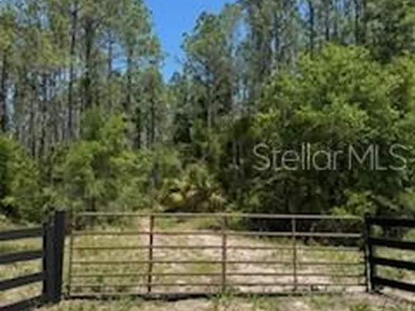 NE Highway 353, Old Town, FL 32680