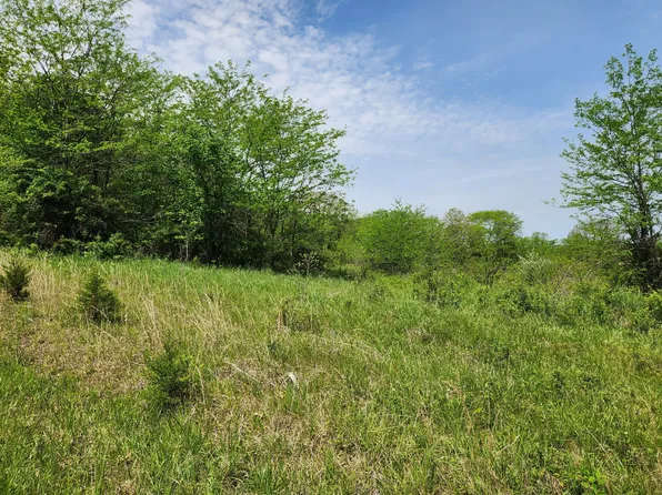 000 River Pass Drive Lot 9 Phase 2, Marshfield, MO 65706