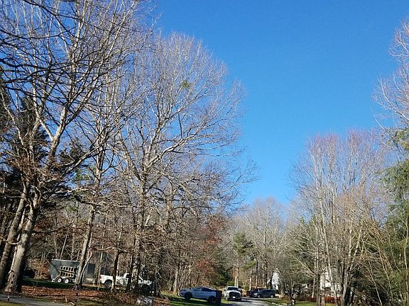 5th image of 175 Tall Oaks Dr