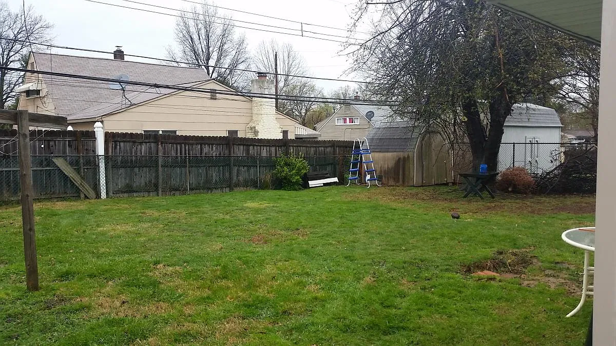 4 bed, 1248 sqft, $2,750 — Photo 3