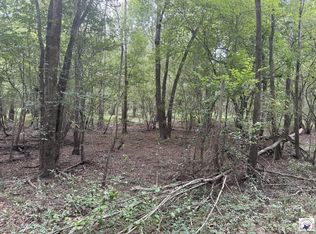 County Road 4126, New Boston, TX 75570