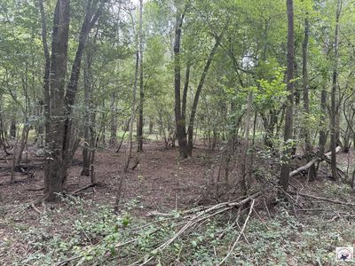 County Road 4126, New Boston, TX, 75570