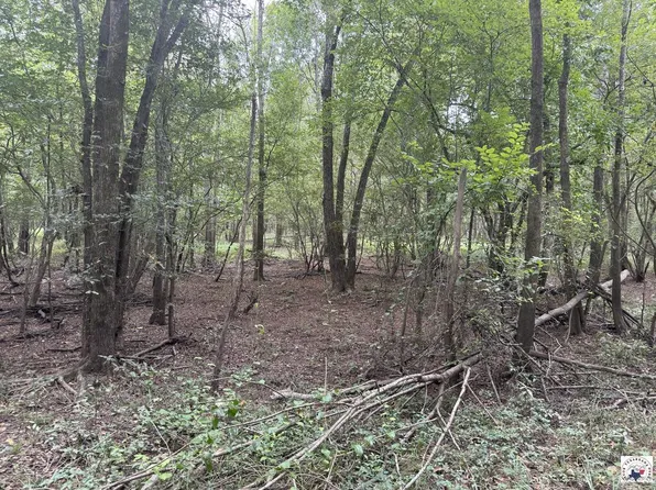 County Road 4126, New Boston, TX 75570