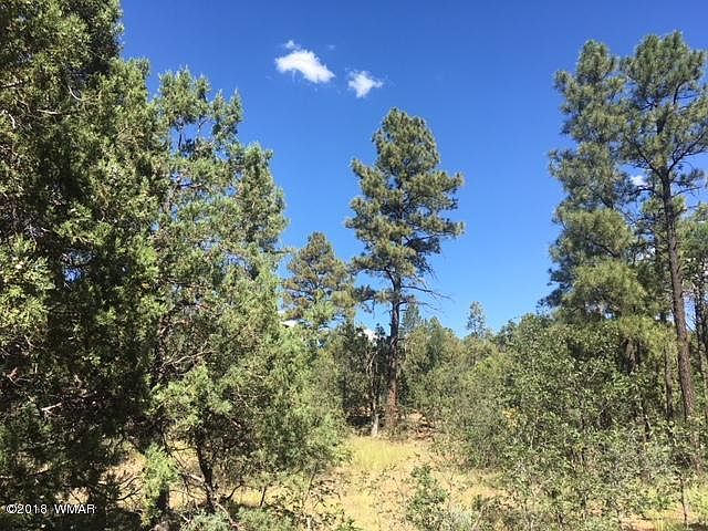 2nd image of 640 W Sierra Pines Dr