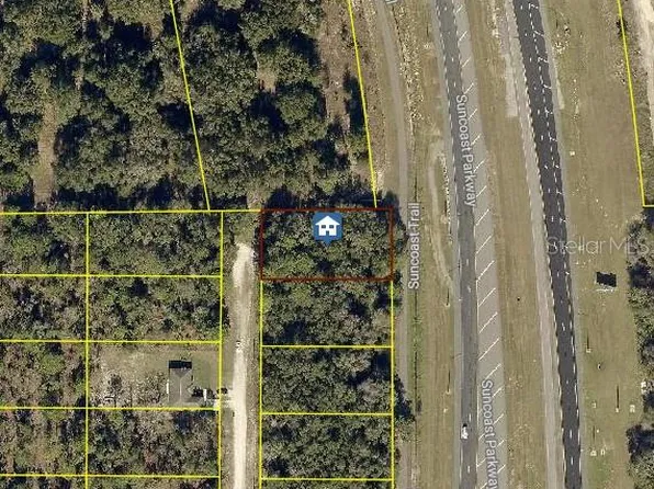 LOT 1 Curlew Rd Lot 1, Brooksville, FL 34614