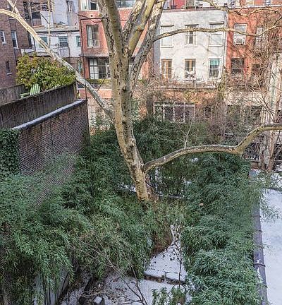 3rd image of 39 W 10th St