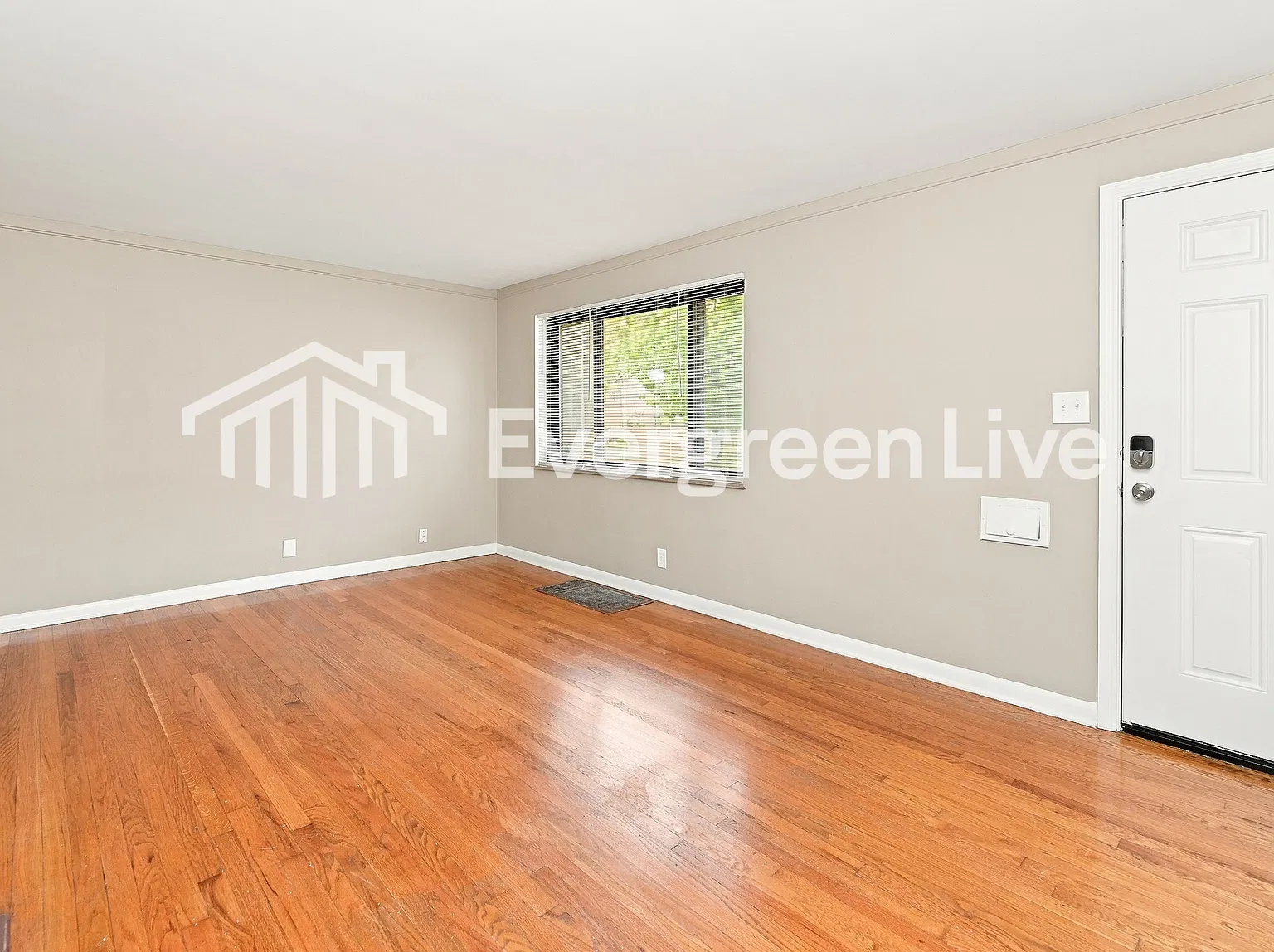 3 bed, 1.0 bath, 1347 sqft, $1,545 — Photo 4