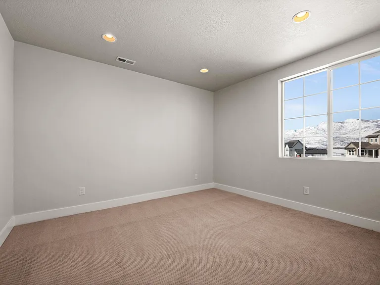 Downstairs Bedroom #1