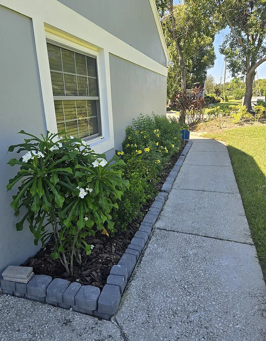 Cadhay Ct, Safety Harbor — Photo 3